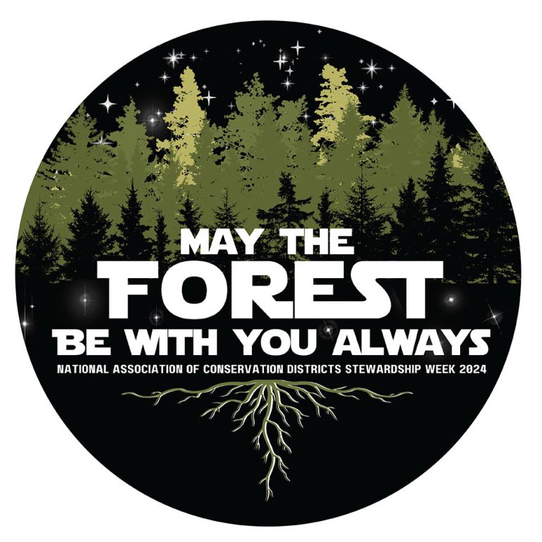 May the forest be with you always - logo