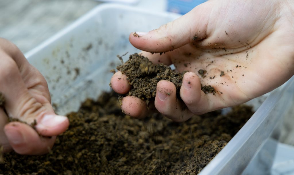 Hands in bin of soil.
